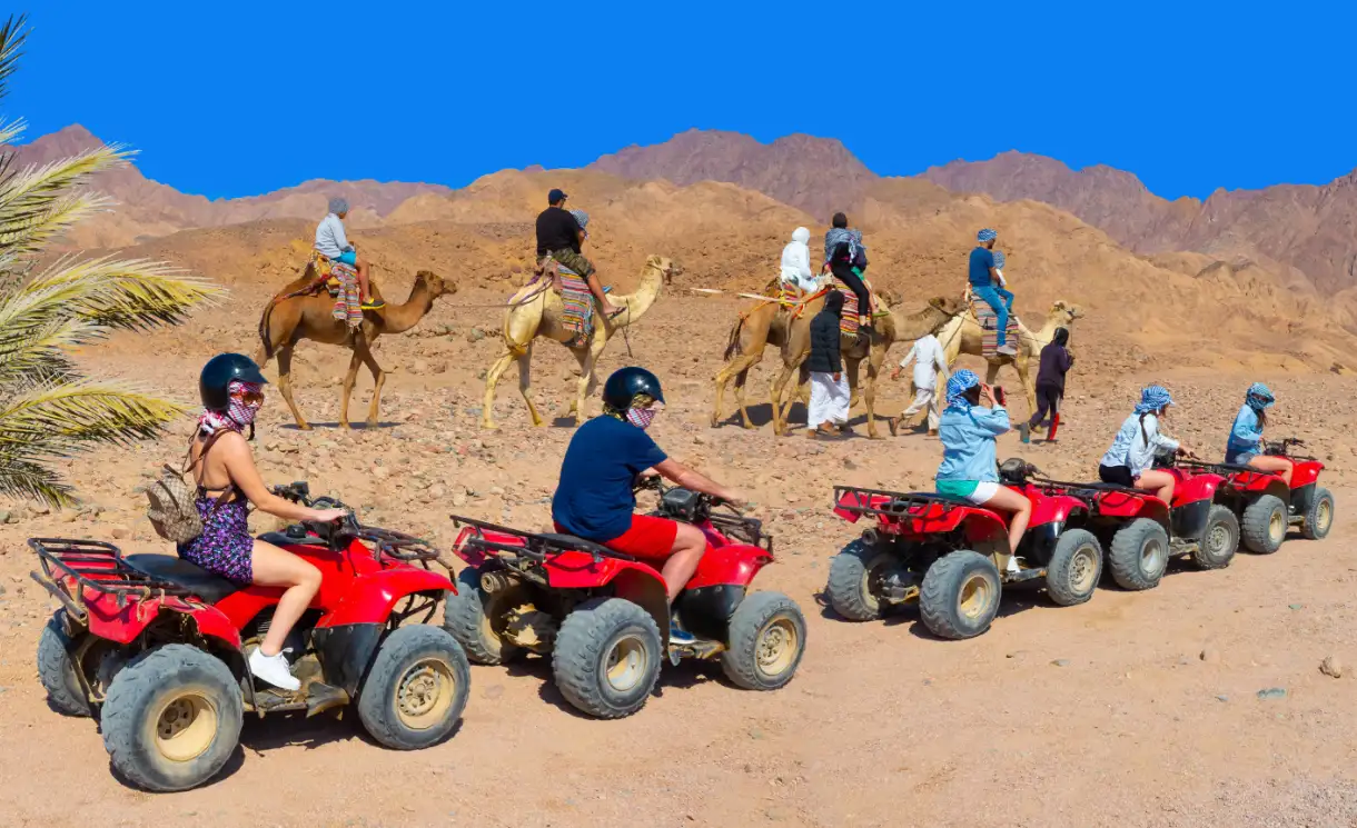 Púšť a safari
